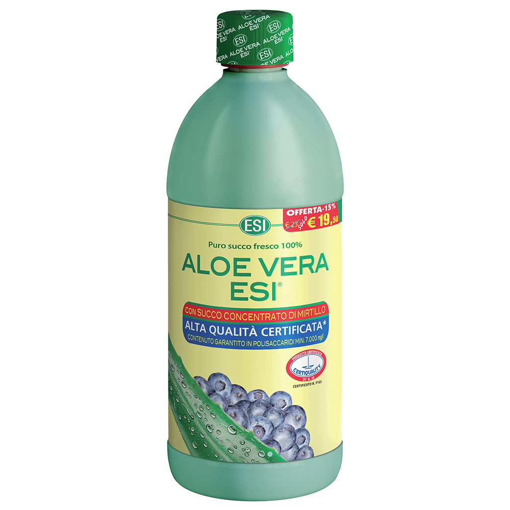 ALOE VERA Succo Mirtillo 1000ml