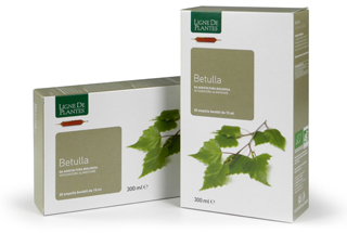 BETULLA 20 ampolle BIO 15ml
