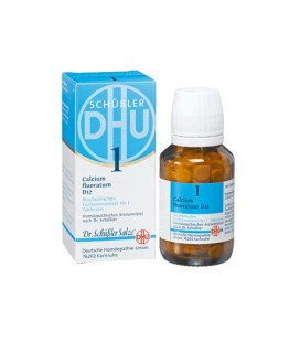 CALCIUM Fluoratum 1 Schuss 6DH 50G