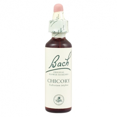 CHICORY Bach Original 20ml