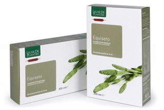 EQUISETO 20 Ampolle BIO 15ml