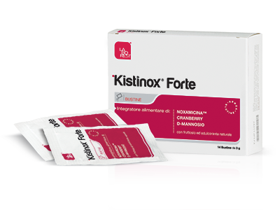 KISTINOX FORTE 14 BUSTINE