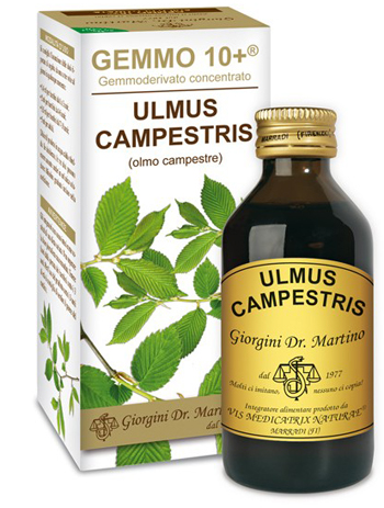 Olmo Campestre 100ml Gemmo 10+