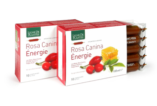 Rosa canina energy 10 ampolle 10ml