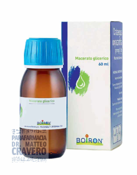 Abies Pectinata 60ml 