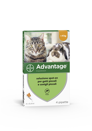 ADVANTAGE 4 PIPETTE 0,4ML SPOTON