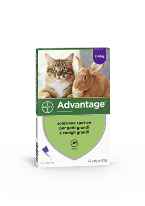 ADVANTAGE 4 PIPETTE 0,8ML SPOTON
