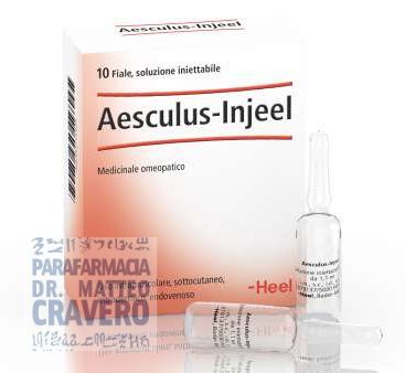 AESCULUS Injeel 10 fiale 1,1ml Heel