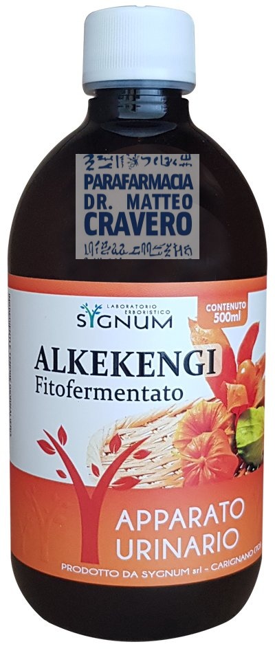 ALKEKENGI 500ML