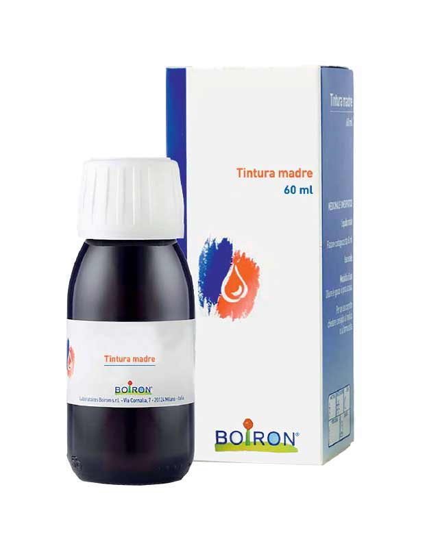 Arnica Montana Tintura Madre