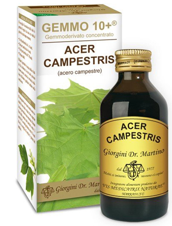 ACERO CAMPESTRE 100ML ANALCOLICO GEMMO10+