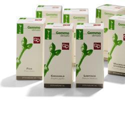 AVENA MACERATO GLICERICO 100ML