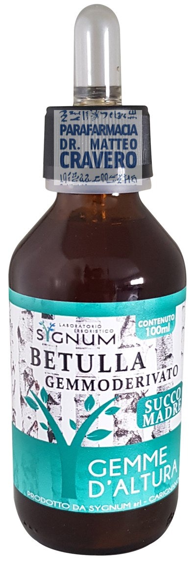 BETULLA GEMME 100ML