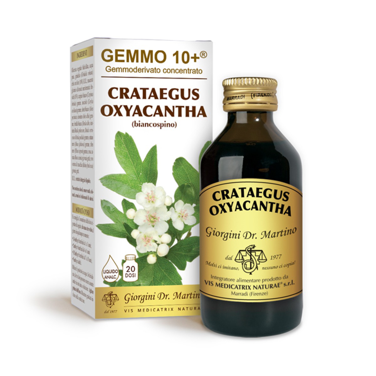 BIANCOSPINO 500ML ANALCOOLICO GEMMODERIVATO