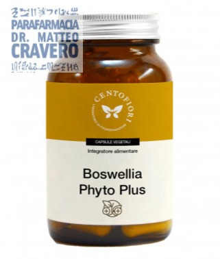 BOSWELLIA PHYTO PLUS 100 CAPSULE