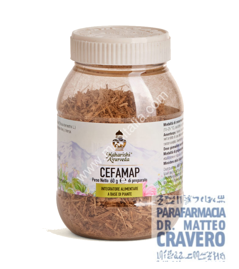 CEFAMAP polvere 60 grammi