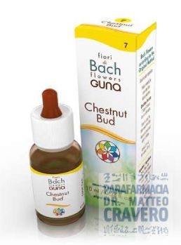 CHESTNUT BUD Gocce 10ml