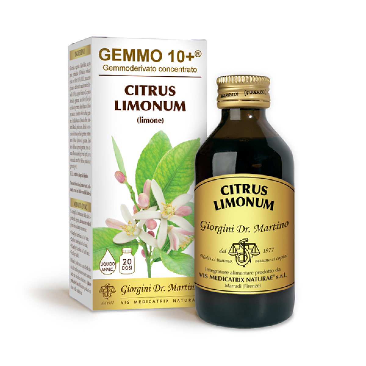 CITRUS LIMONUM GEMMODERIVATO ANALCOOLICO 500ML