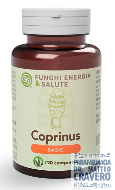 COPRINUS BASIC 120 COMPRESSSE