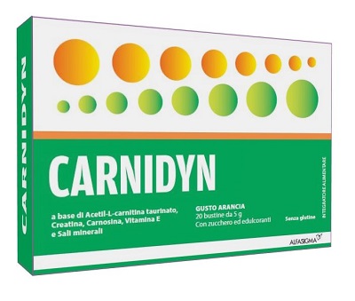 CARNIDYN 20 bustine