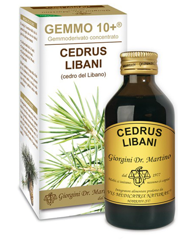 CEDRUS LIBANI 100ML ANALCOOLICO GEMMODERIVATO