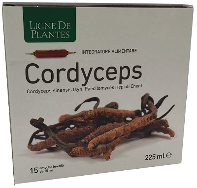 CORDYCEPS 15 ampolle  15ml