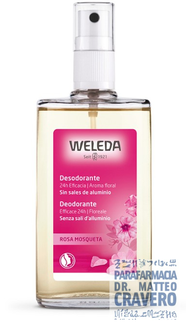 DEODORANTE ROSA MOSQUETA 100ML