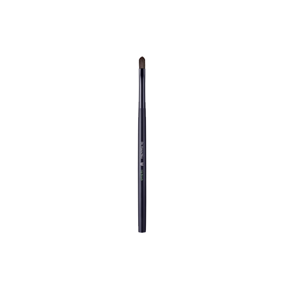 Dr. Hauschka concealer brush 