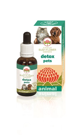 Australian Bush Flower detox pets