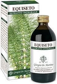 EQUISETO T 90G 180PAST 500MG