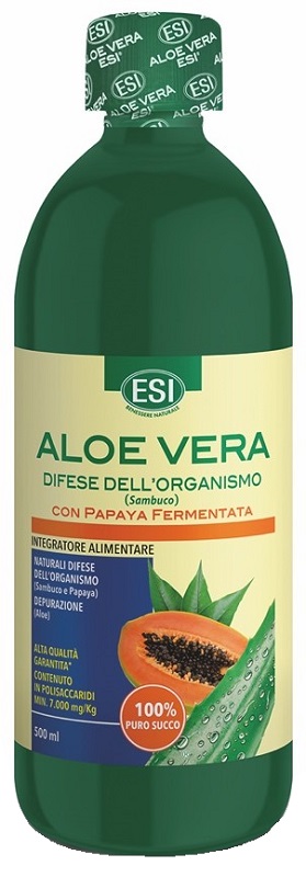 ALOE VERA SUCCO PAPAYA  500ML