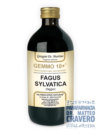 FAGGIO 500ML ANALCOLICO GEMMO 10+