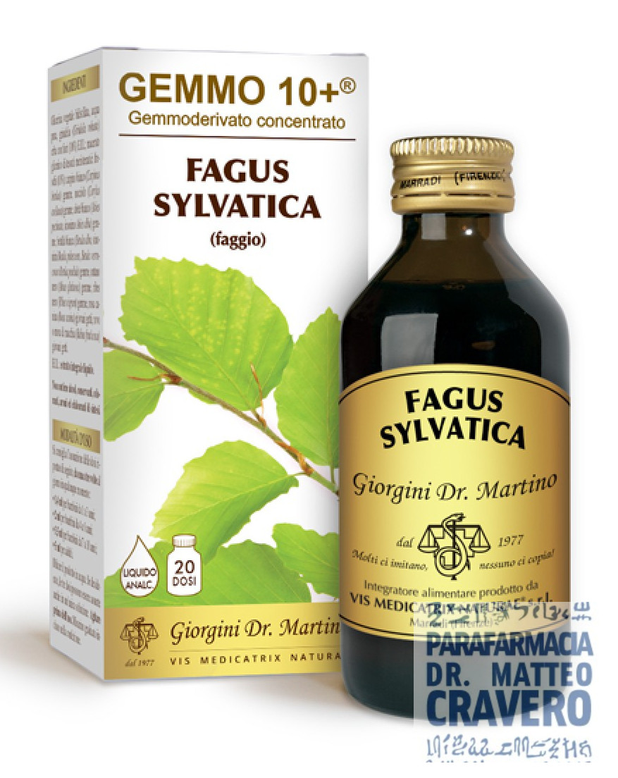 FAGUS SYLVATICA 100ML ANALCOLICO GEMMO 10+