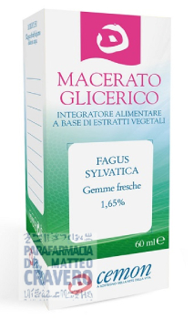 Fagus Sylvatica 60mL