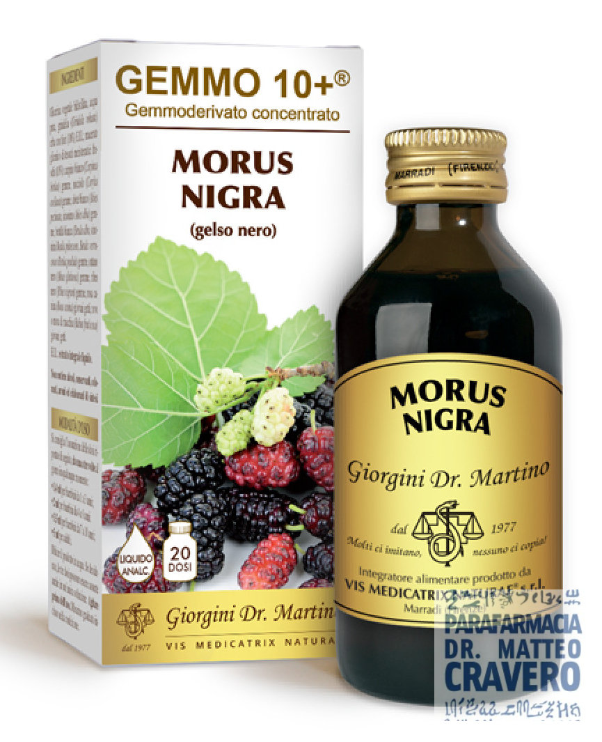 GELSO NERO 100ML ANALCOLICO GEMMO10+