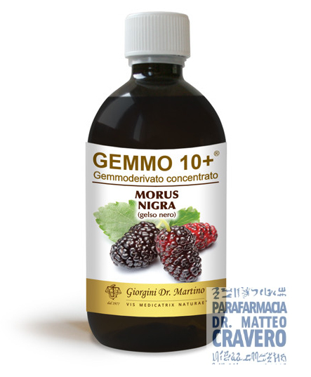 GELSO NERO 500ML ANALCOLICO GEMMO10+