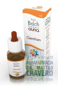 GENTIAN GUN Gocce 10ml