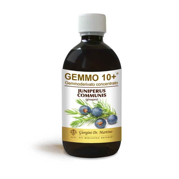 GINEPRO 500ML ANALCOOLICO GEMMO 10+