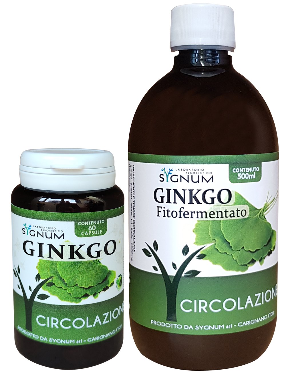 GINKGO BILOBA 60 CAPSULE
