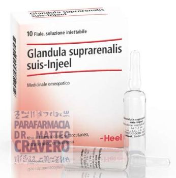 Glandula Suprarenalis Suis Injeel 10 fiale