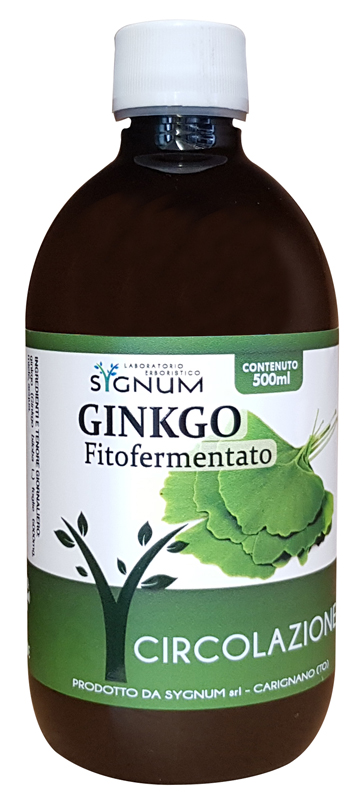 GINKGO 500ML