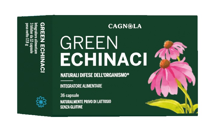GREEN ECHINACI 36 COMPRESSE