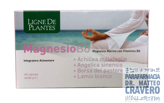 LIGNE Magnesio B6 Achille Angelica 60 capsule 