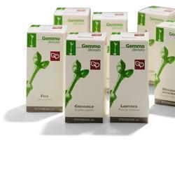 LENTISCO Macerato Glicerico 100ML