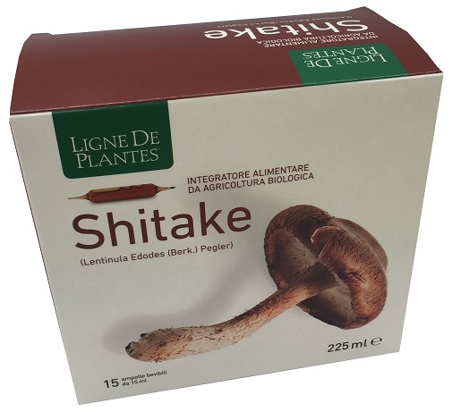 SHITAKE BIO 15 AMPOLLE 15ML