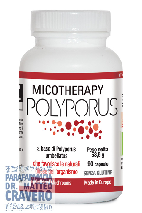 MICOTHERAPY POLYPORUS 90 capsule