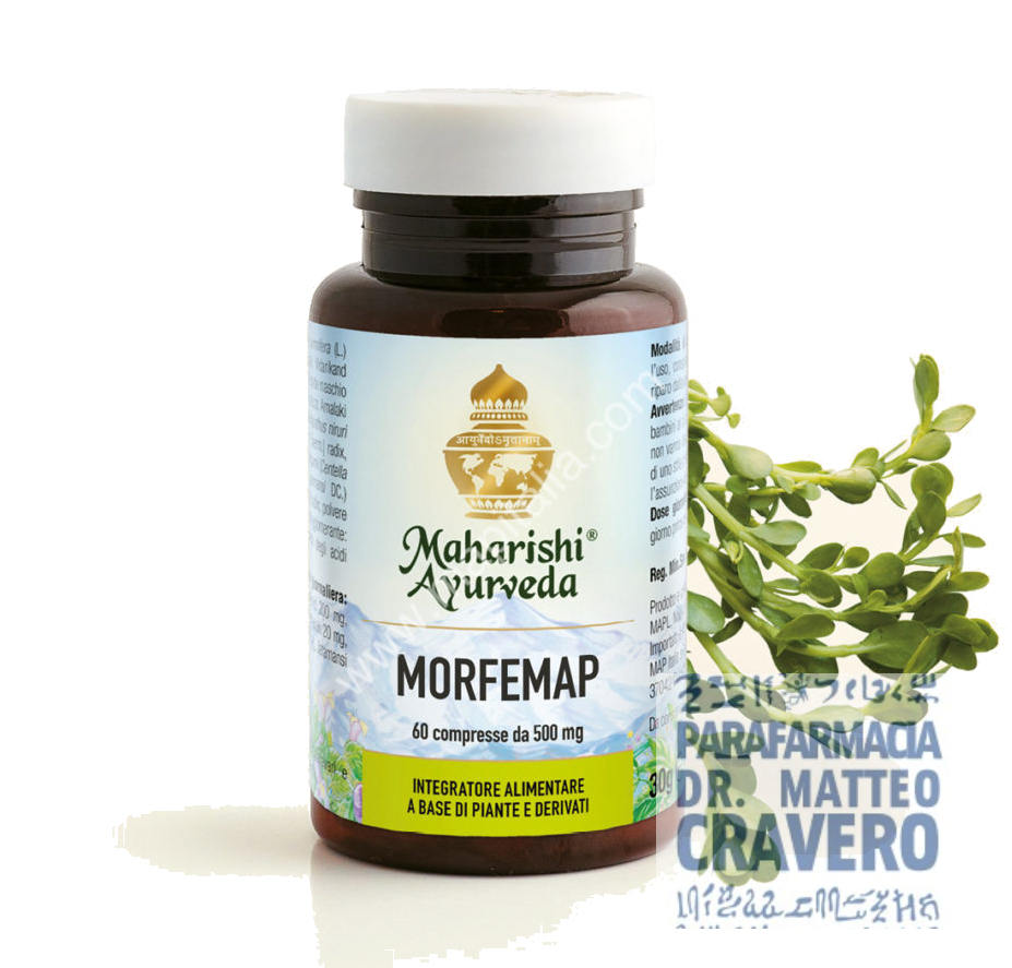 MORFEMAP compresse