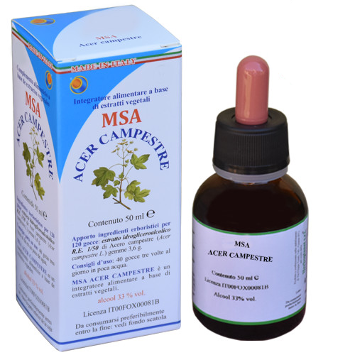 MSA  ACER CAMPESTRE 50ML