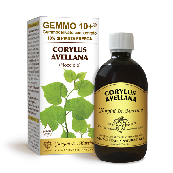 NOCCIOLO 500ML ANALCOOLICO GEMMODERIVATO
