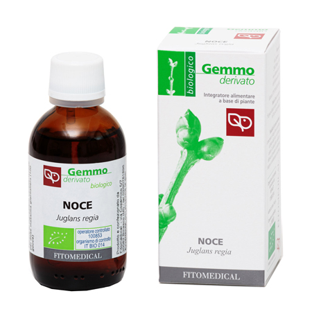 NOCE Macerato Glicerico 50ML BIO